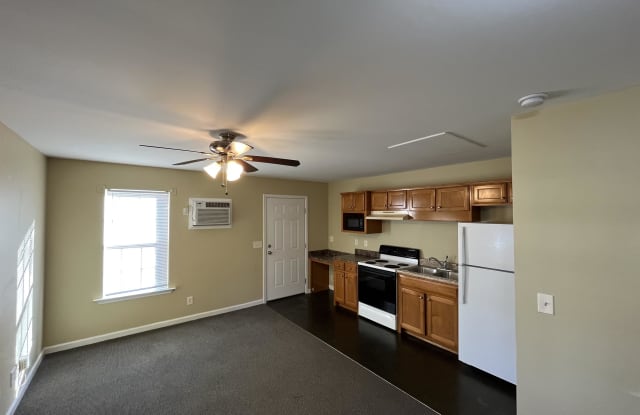 457 Jackson Street - 457 Jackson Street, Murfreesboro, TN 37130