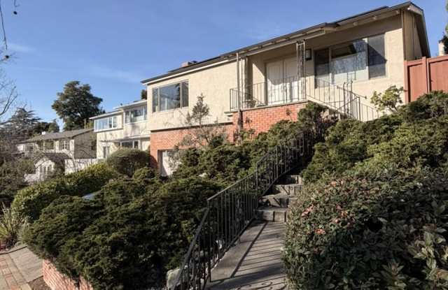 242 Sandringham Road photos photos