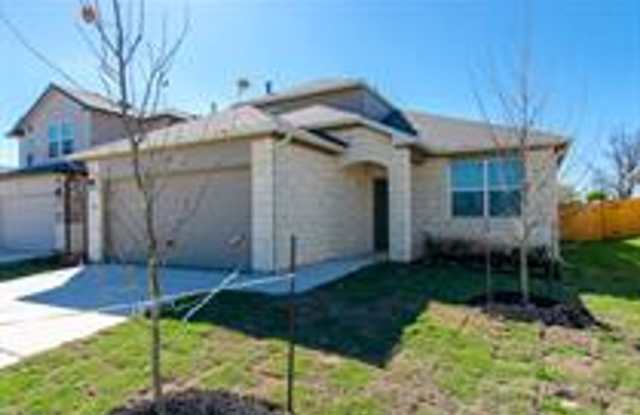 392 Fall Aster Drive Kyle, TX 78640 Gallery 1