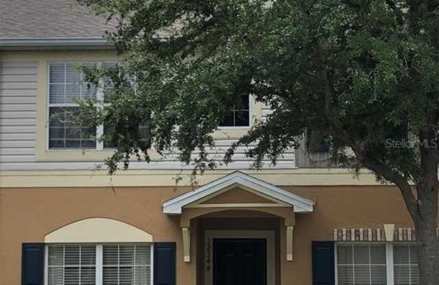 12344 HEALEY SUMMIT LANE - 12344 Healey Summit Lane, Riverview, FL 33579