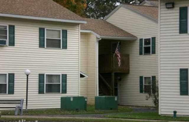 Millstream Apartments - 20 Masonic Avenue, Camden, NY 13316