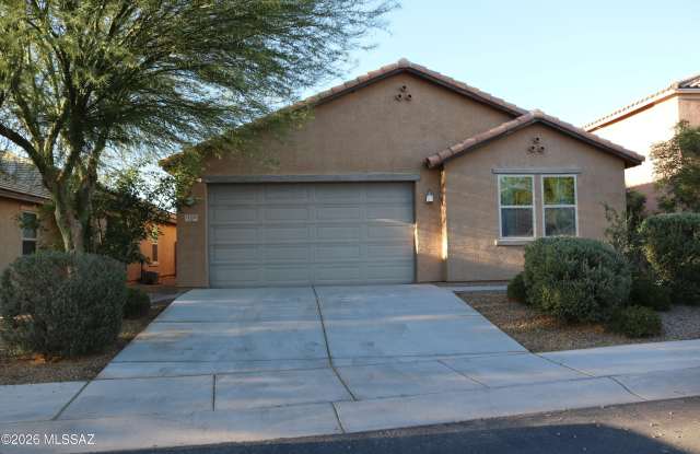 11704 W Boll Bloom Drive photos photos