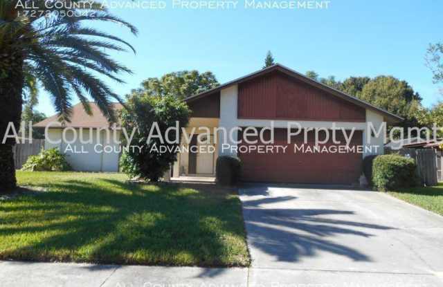 385 Westford Cir - 385 Westford Circle, Palm Harbor, FL 34683