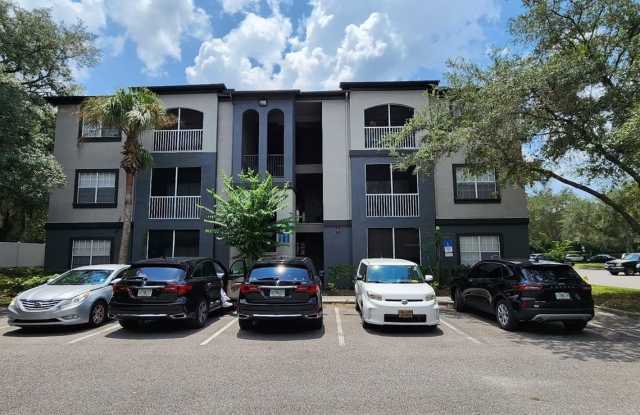13015 SANCTUARY COVE DRIVE - 13015 Sanctuary Cove Drive, Temple Terrace, FL 33637
