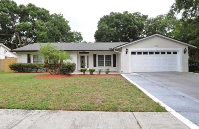 7807 CAPWOOD AVENUE - 7807 Capwood Avenue, Temple Terrace, FL 33637