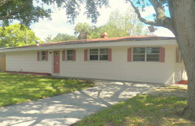 10101 Alambra Avenue - 10101 Alambra Avenue, Brandon, FL 33619