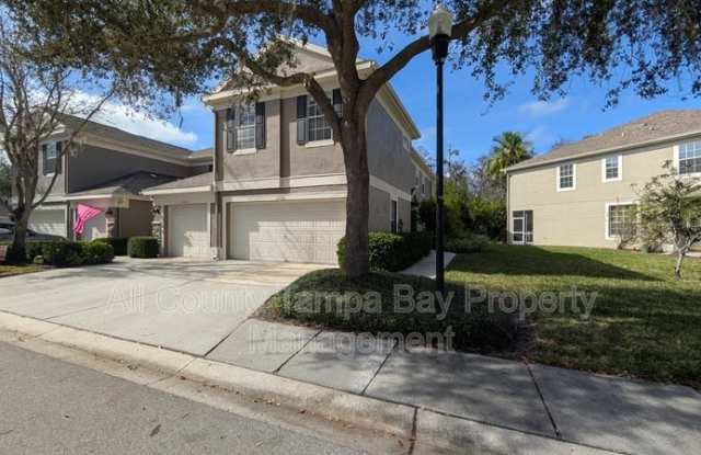 11051 Windsor Place Cir - 11051 Windsor Place Circle, Westchase, FL 33626