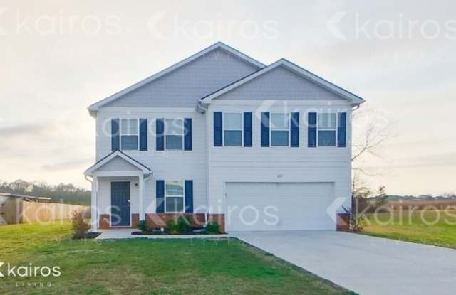217 Sky Hawk Lane photos photos