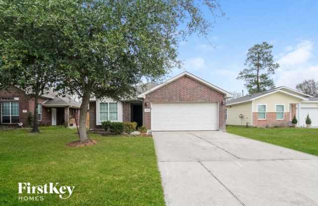 22822 Fairfax Village West Drive - 22822 Fairfax Village West Drive, Spring, TX 77373