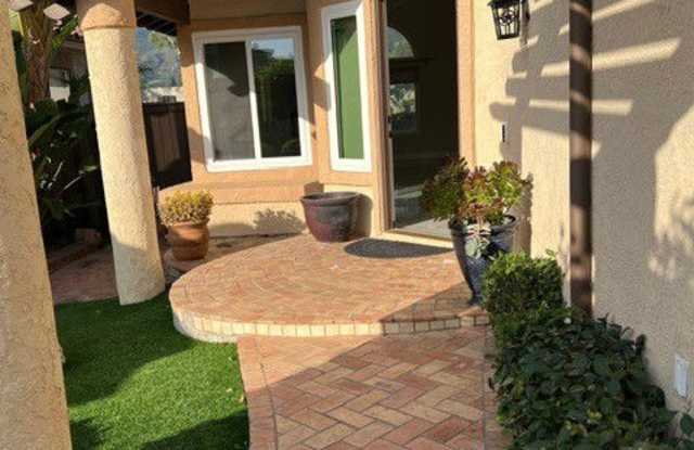 9 Sarracenia photos photos