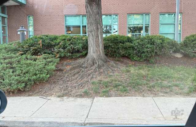 6130 LOCUST Street unit: #2Nd Floor photos photos