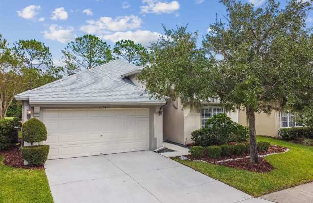 5354 LOOKOUT PASS - 5354 Lookout Pass, Pasco County, FL 33544