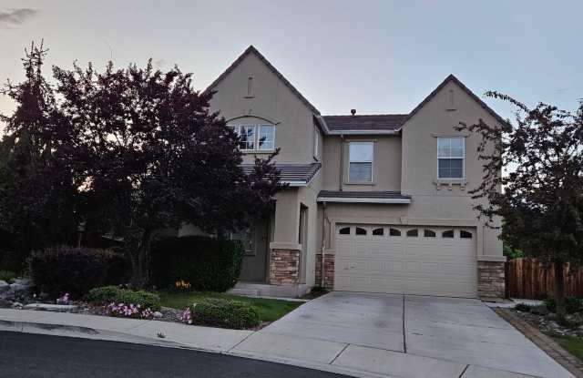 Perfect home seeking amazing tenant photos photos