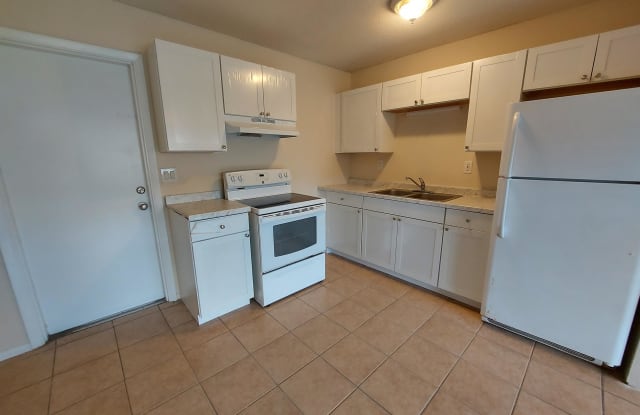 13849 First St - 13849 First Street, Fort Myers Shores, FL 33905