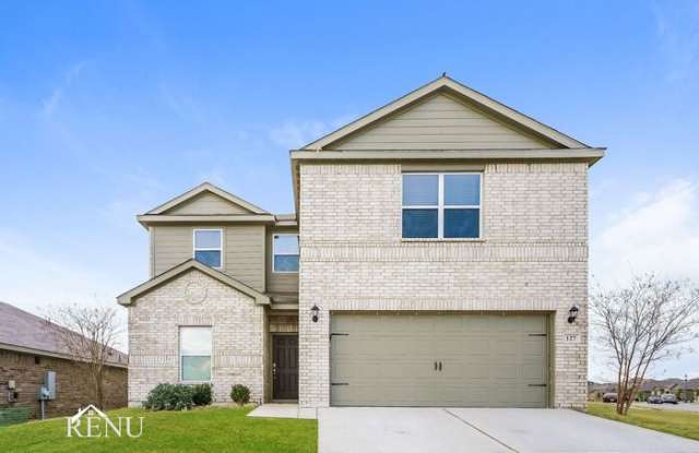 127 Palomino Bend Dr - 127 Palomino Bend Dr, Wise County, TX 76071
