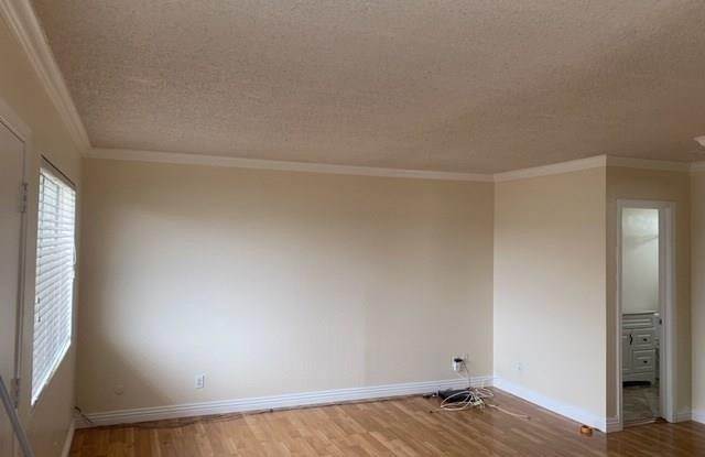 33891 Olinda Drive Gallery 4
