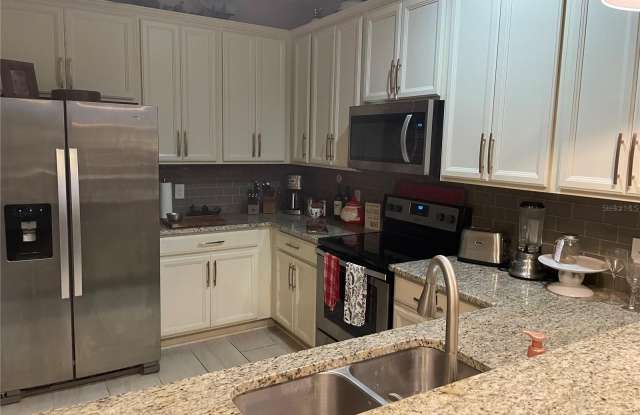 15233 SUNRISE GROVE COURT Gallery 3