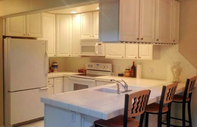 Downtown Glenwood Springs Condo photos photos