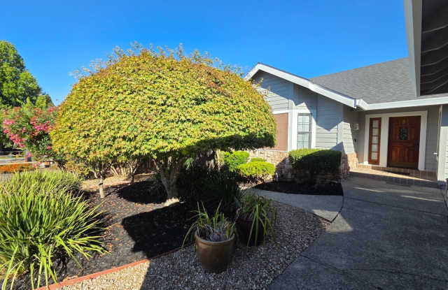 Desirable Westside Petaluma - Beautiful and well maintained 3 bedroom, 2 bath Gallery 3