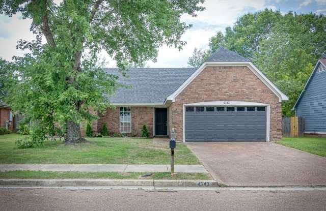 Fully Renovated 3BD/2BA! photos photos