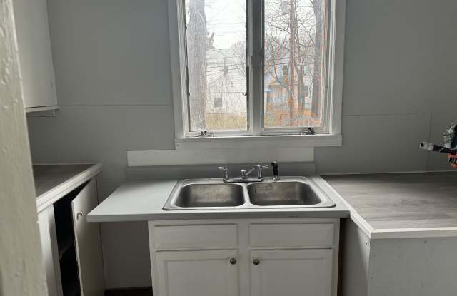215 Depew St - 215 Depew Street, Rochester, NY 14611