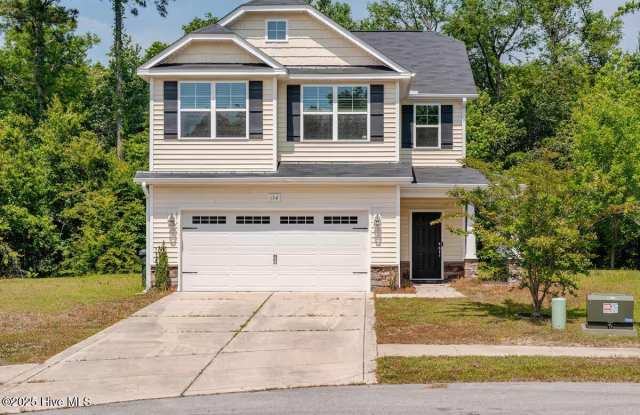 154 Poplar Branch Way - 154 Poplar Branch Way, Surf City, NC 28443