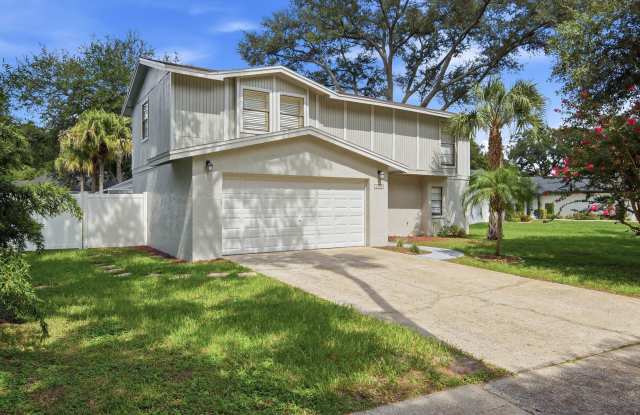 Two-story 3BR/2.5 Bath Country Place home in Carrollowood. photos photos