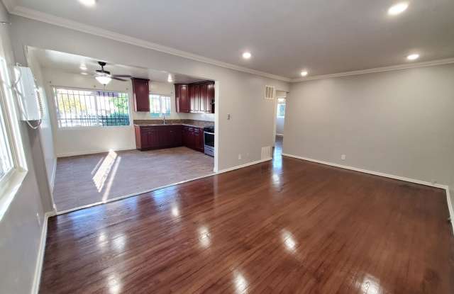 1243m Gallery 4