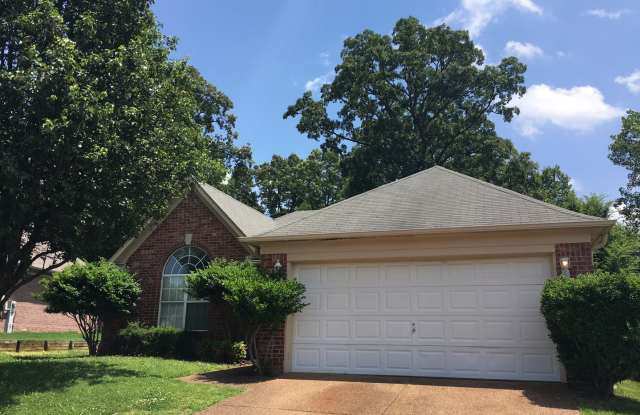 3br/2ba Home in the Bartlett area. Vaulted Ceilings! Fenced Back Yard. Pets are owners approval, fees apply. photos photos