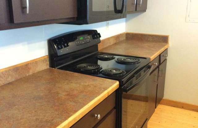 Great 2 Bedroom Unit Near Campus and JBo's - 1135 Florida Road, Durango, CO 81301