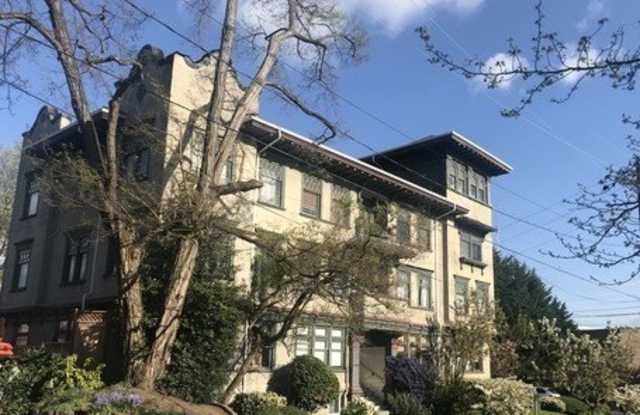 302 JR THE MACPHERSON GROUP (MIMI/KIT 50/50) photos photos