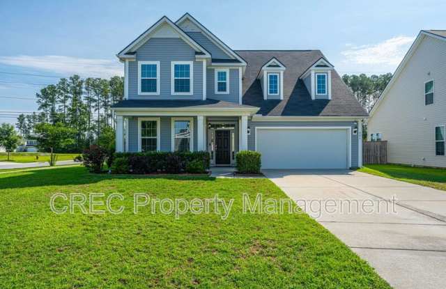 201 Bigleaf Court - 201 Bigleaf Court, Berkeley County, SC 29486