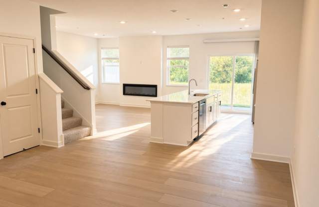 Brand New Construction 3Bed 2.5Bath Townhome in Forest Lake Gallery 3