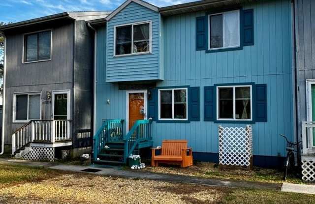 5210 DEEP HOLE RD - 5210 Deep Hole Road, Chincoteague, VA 23336