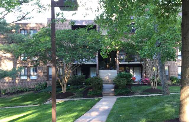 11248 Chestnut Grove Square Gallery 2
