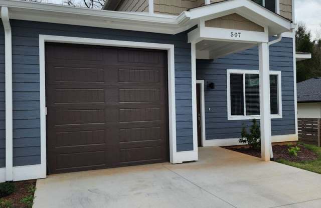Black Mountain Rental! Gallery 3