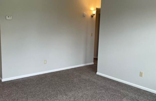 409 Shelby Ave #4 Gallery 3