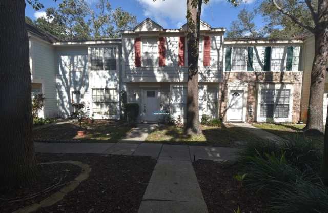 13908 FLETCHERS MILL DRIVE - 13908 Fletchers Mill Drive, Lake Magdalene, FL 33613