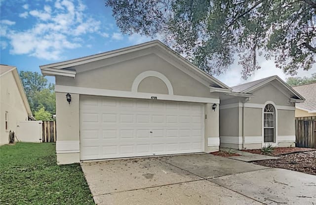 4709 ROCKINGCHAIR DRIVE - 4709 Rockingchair Drive, Bloomingdale, FL 33596