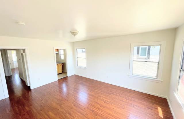 LARGE 2nd story 1bd/1ba unit near BMO, USC, and Downtown LA! photos photos