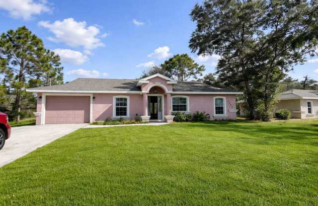 3055 Morning Glory photos photos