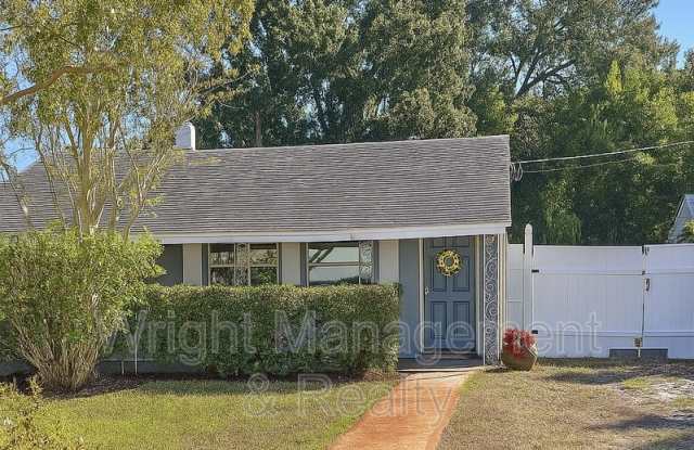 213 North Glen Avenue - 213 North Glen Avenue, Tampa, FL 33609