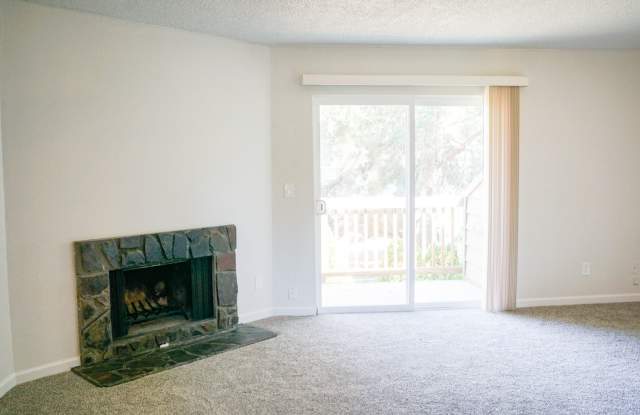 Recently Updated 2 Bedroom w/ Fireplace, Balcony, W/D, + DW! photos photos