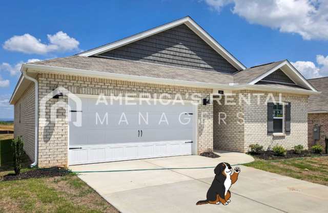 New Construction Home for Rent! photos photos