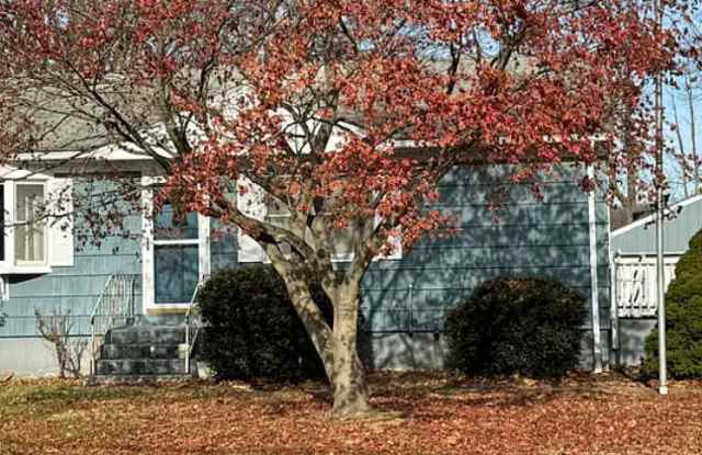 112 Bird Ln Gallery 1