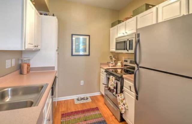 1043 Wonder World Dr Gallery 2