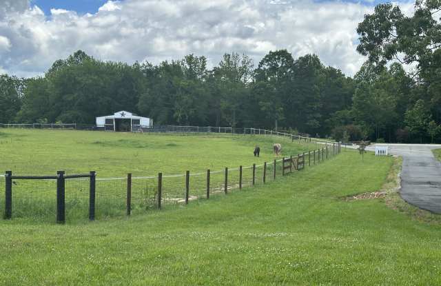 335 Dalton Road - BARN - 335 Dalton Road, Davie County, NC 27028