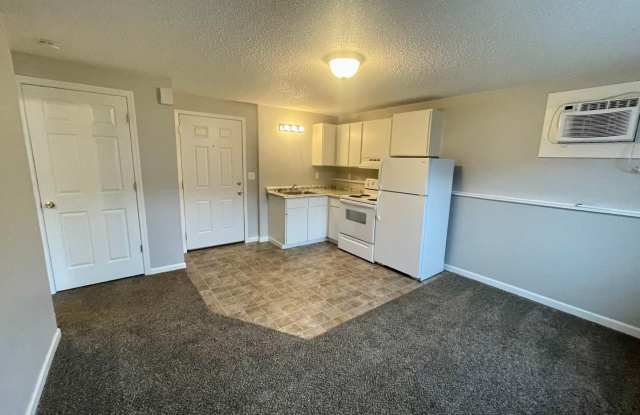 Newly Updated 1-Bedroom Gallery 3