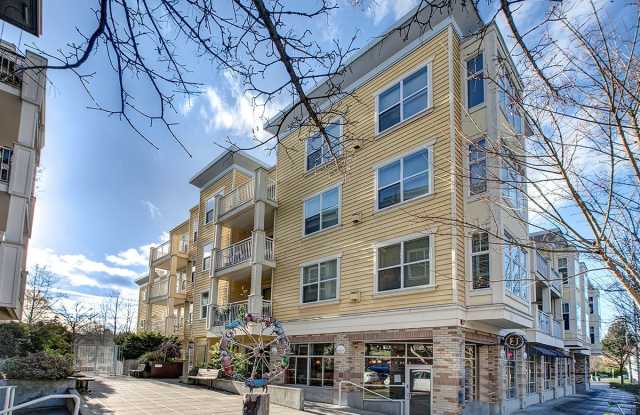2910 NE Blakeley St #103 - 2910 Northeast Blakeley Street, Seattle, WA 98105