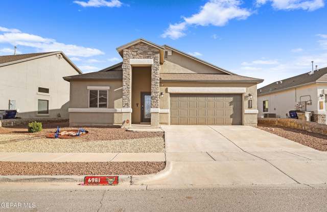 6981 BLACK MESQUITE Drive photos photos